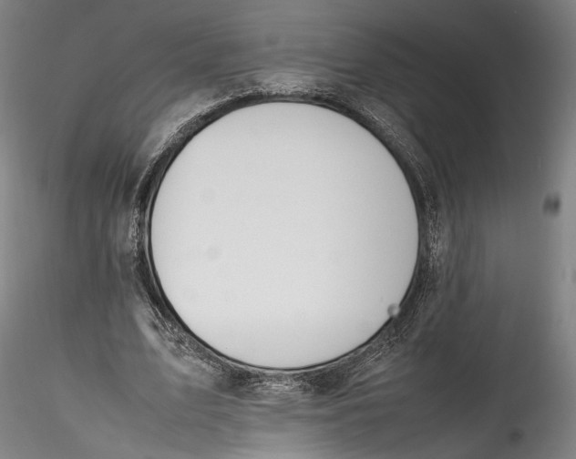 X0000115780583200911271206