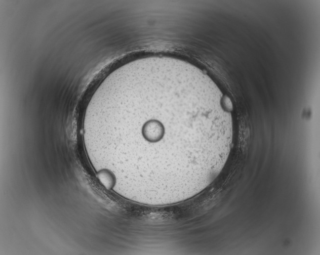 X0000115780584200911271206