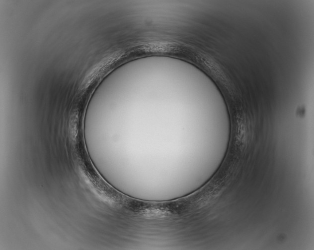 X0000115780586200911271206