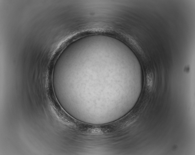 X0000115780588200911271206