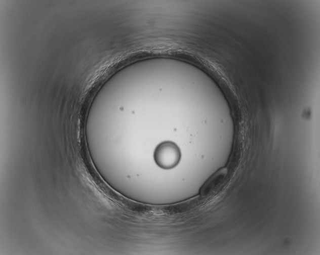 X0000115780589200911271206