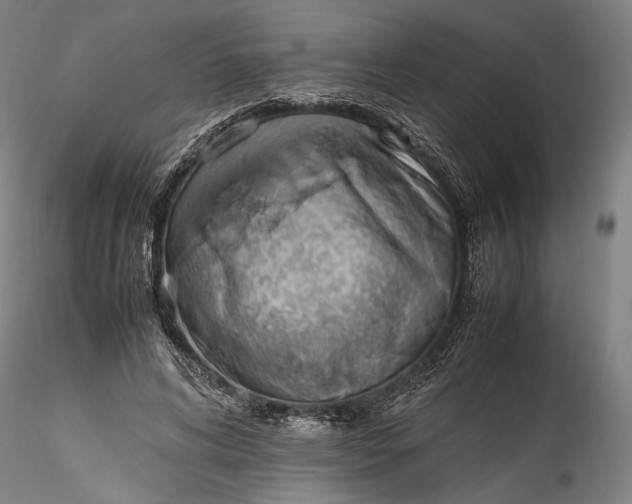 X0000115780592200911271206