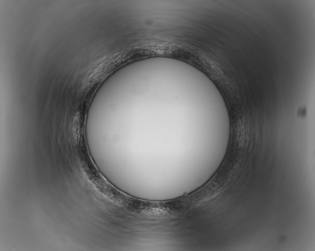 X0000115780594200911271206