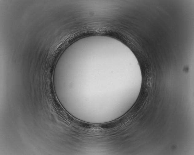 X0000115780595200911271206