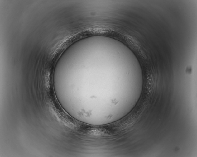 X0000115780596200911271206