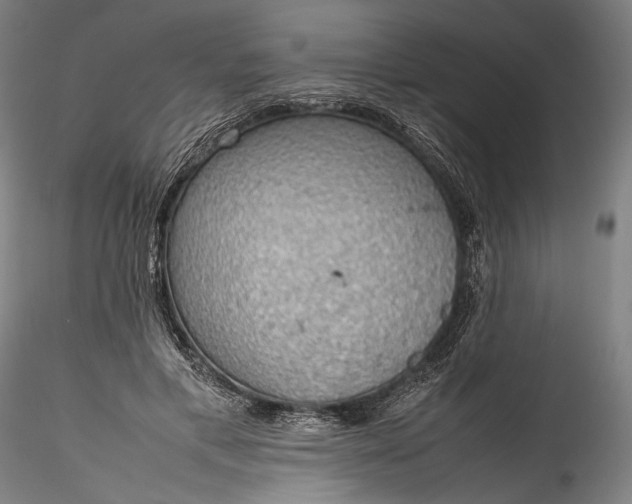 X0000115780597200911271206