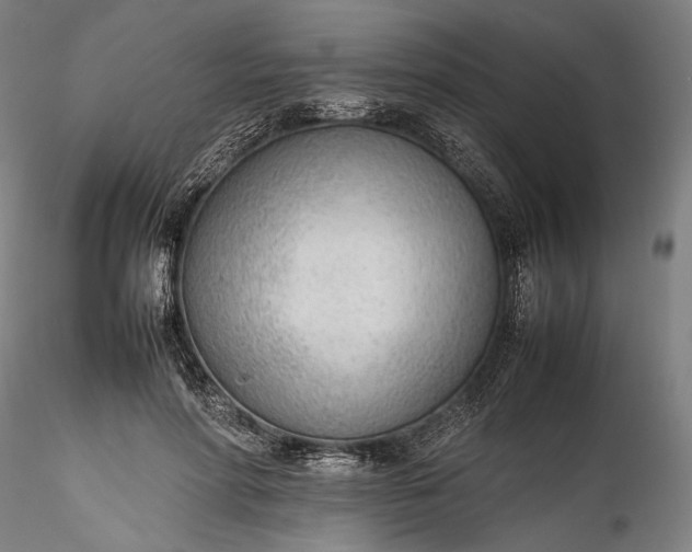 X0000115780598200911271206