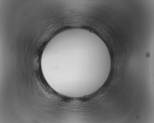 X0000115780599200911271206