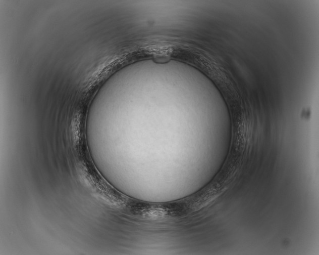 X0000115780600200911271206