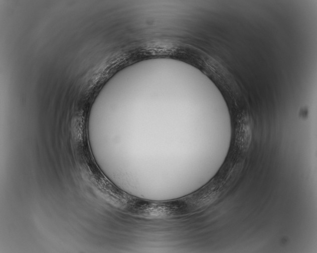 X0000115780604200911271206