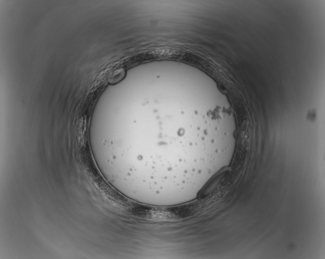 X0000115780605200911271206