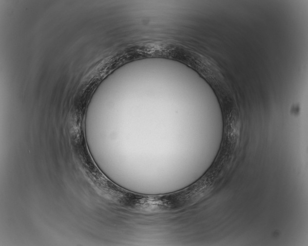 X0000115780607200911271206