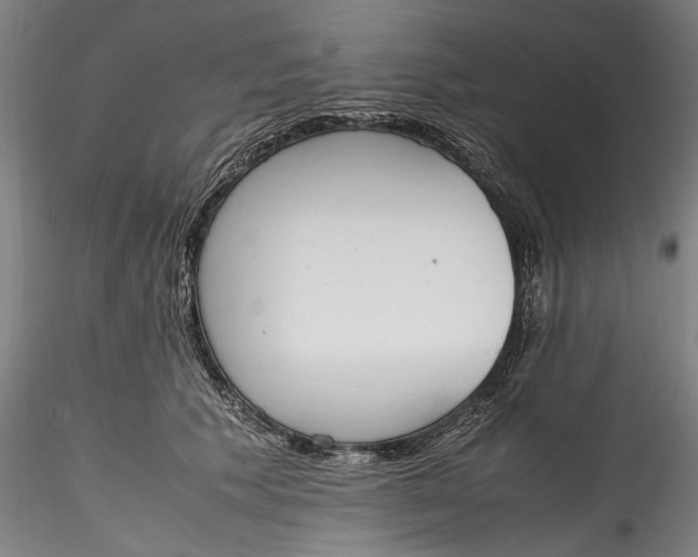 X0000115780609200911271206