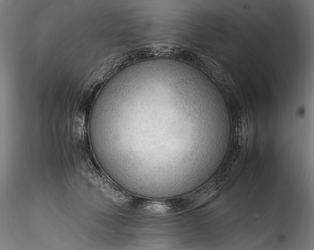 X0000115780610200911271206