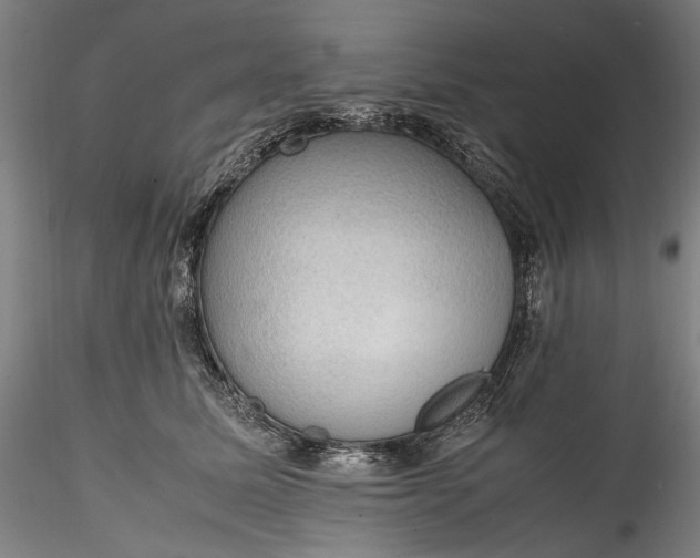 X0000115780611200911271206