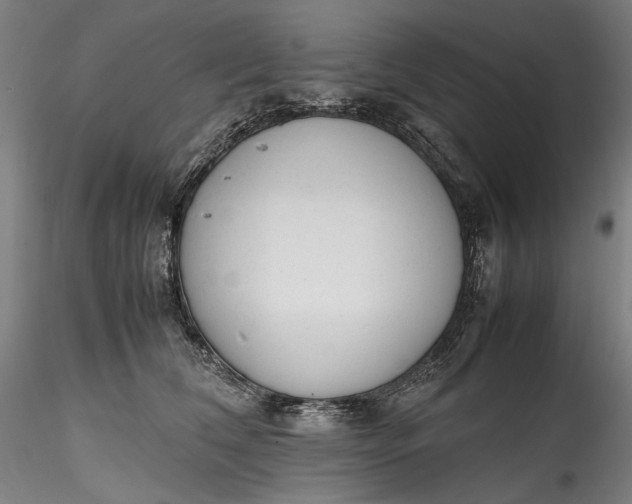 X0000115780612200911271206