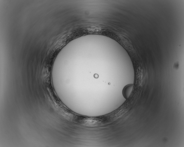 X0000115780614200911271206