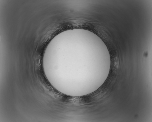 X0000115780615200911271206