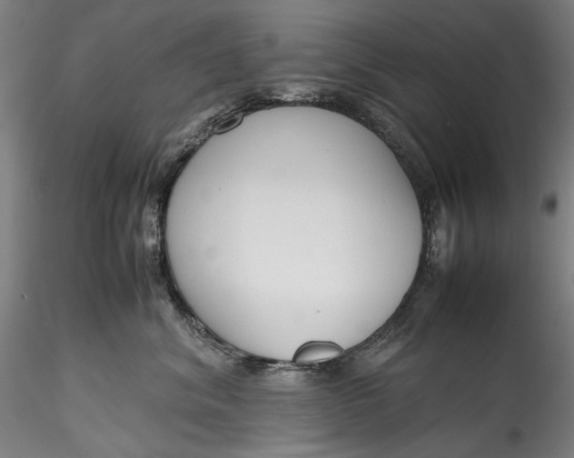 X0000115780620200911271206