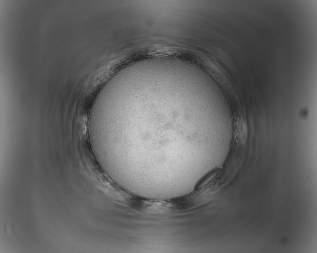 X0000115780621200911271206