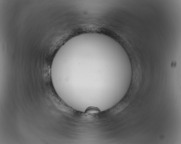 X0000115780624200911271205