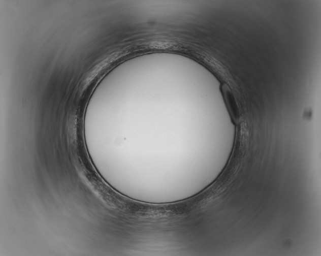 X0000115780626200911271205