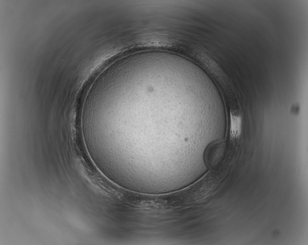 X0000115780627200911271205