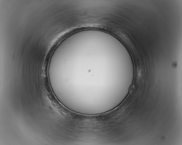 X0000115780628200911271205