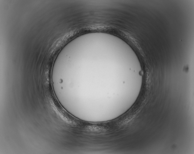 X0000115780633200911271205