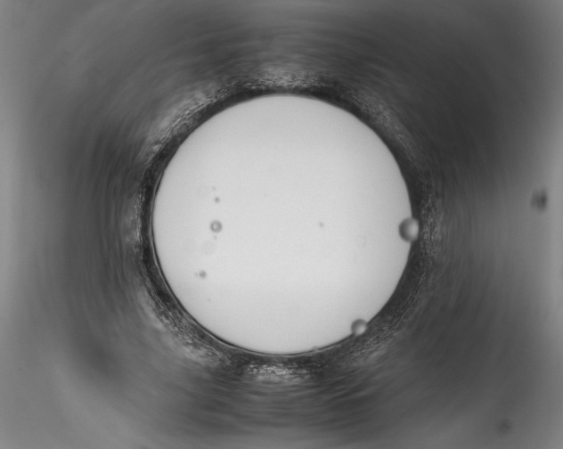 X0000115780635200911271205