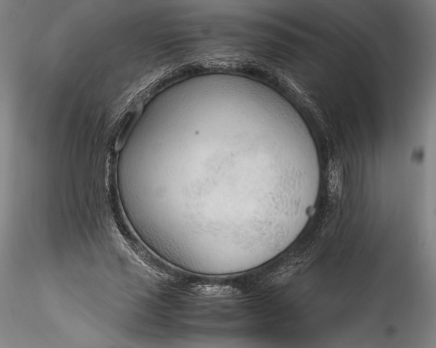 X0000115780637200911271205