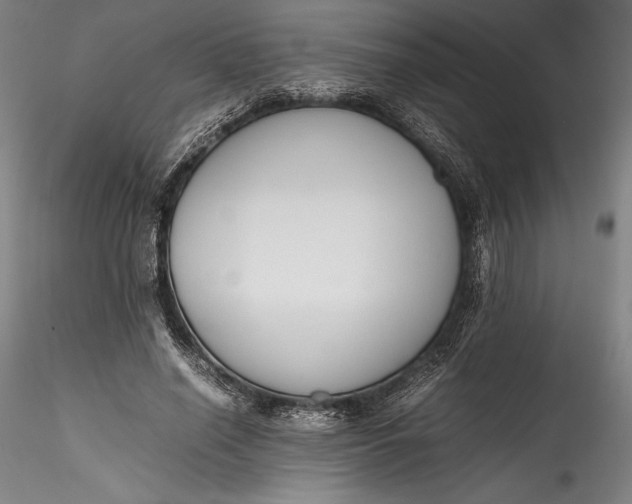 X0000115780638200911271205