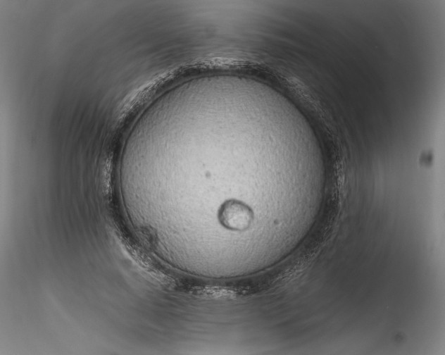 X0000115780640200911271205