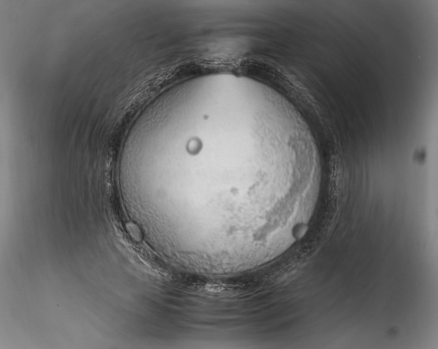 X0000115780641200911271205