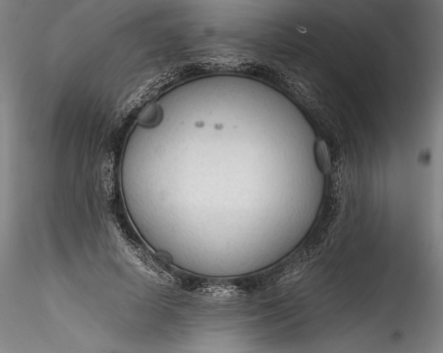 X0000115780642200911271205