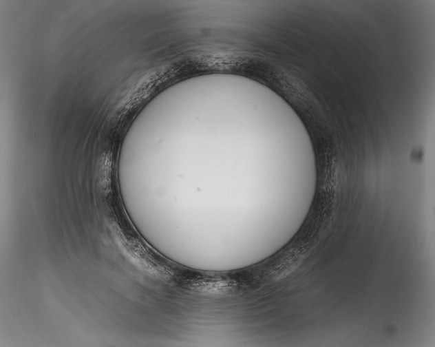 X0000115780646200911271205