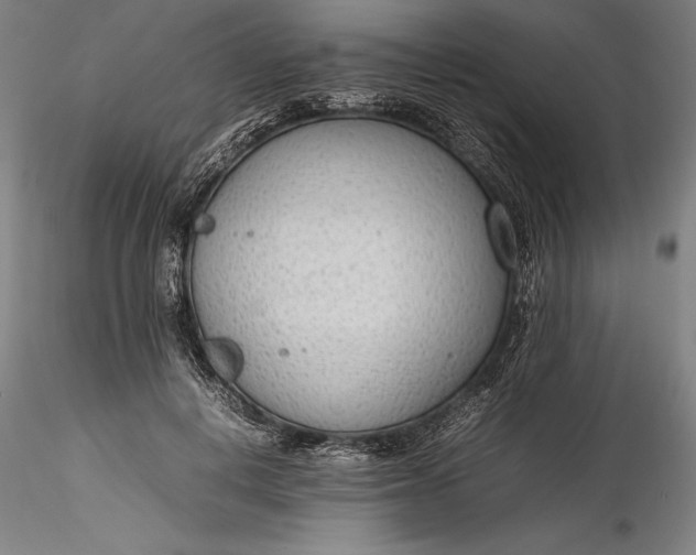 X0000115780648200911271205