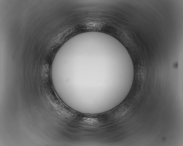 X0000115780649200911271205