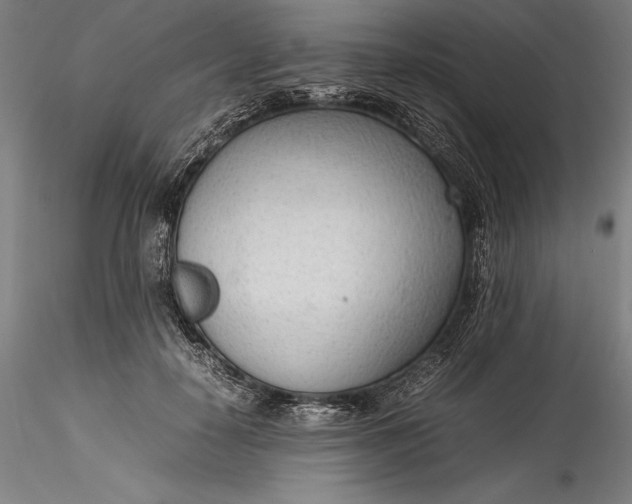 X0000115780650200911271205