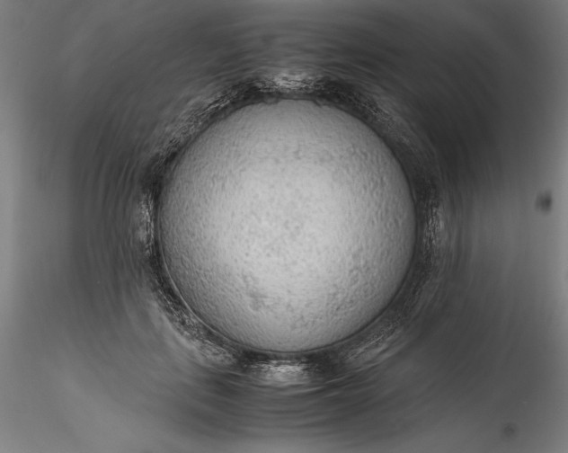 X0000115780651200911271205