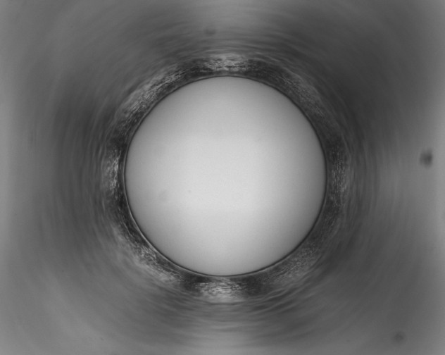 X0000115780652200911271205