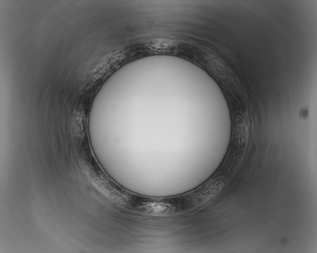 X0000115780654200911271205