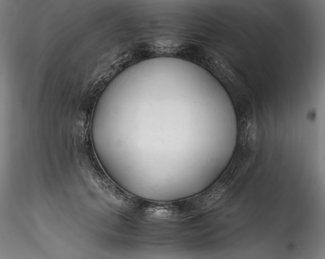 X0000115780655200911271205