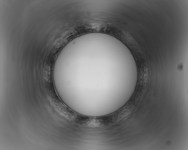 X0000115780656200911271205