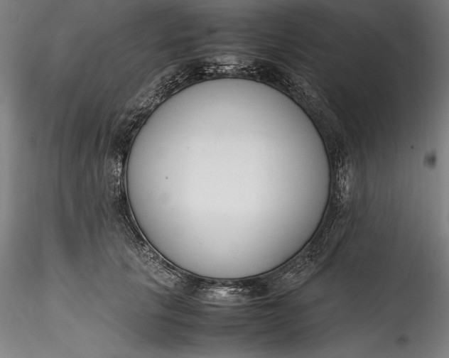 X0000115780657200911271205