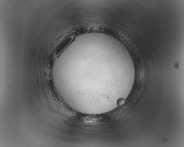 X0000115780661200911271205