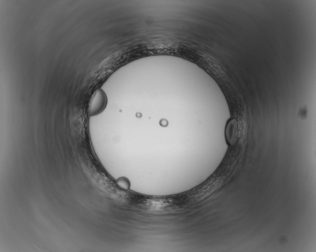 X0000115780662200911271205