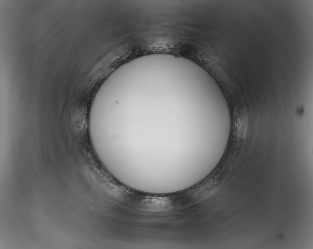 X0000115780665200911271205