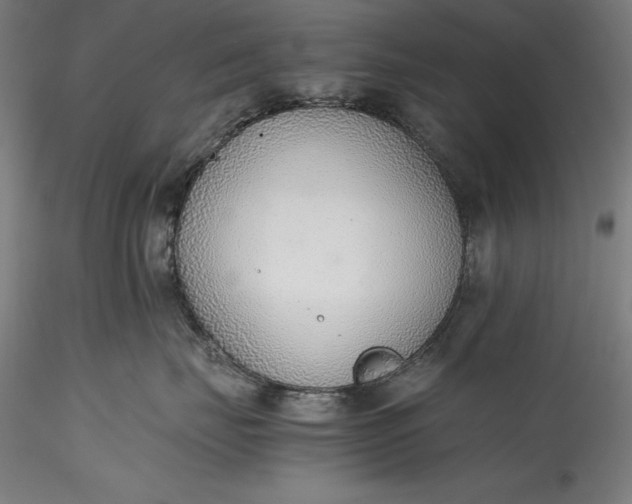 X0000115780671200911271205