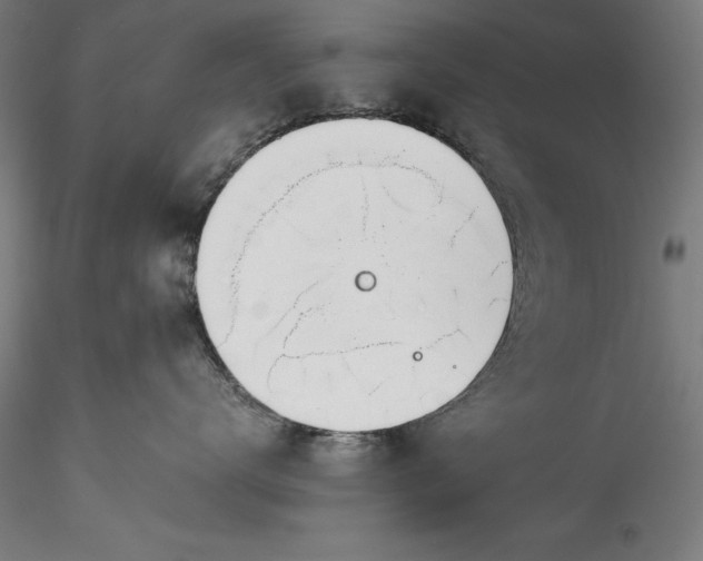 X0000115780672200911271205